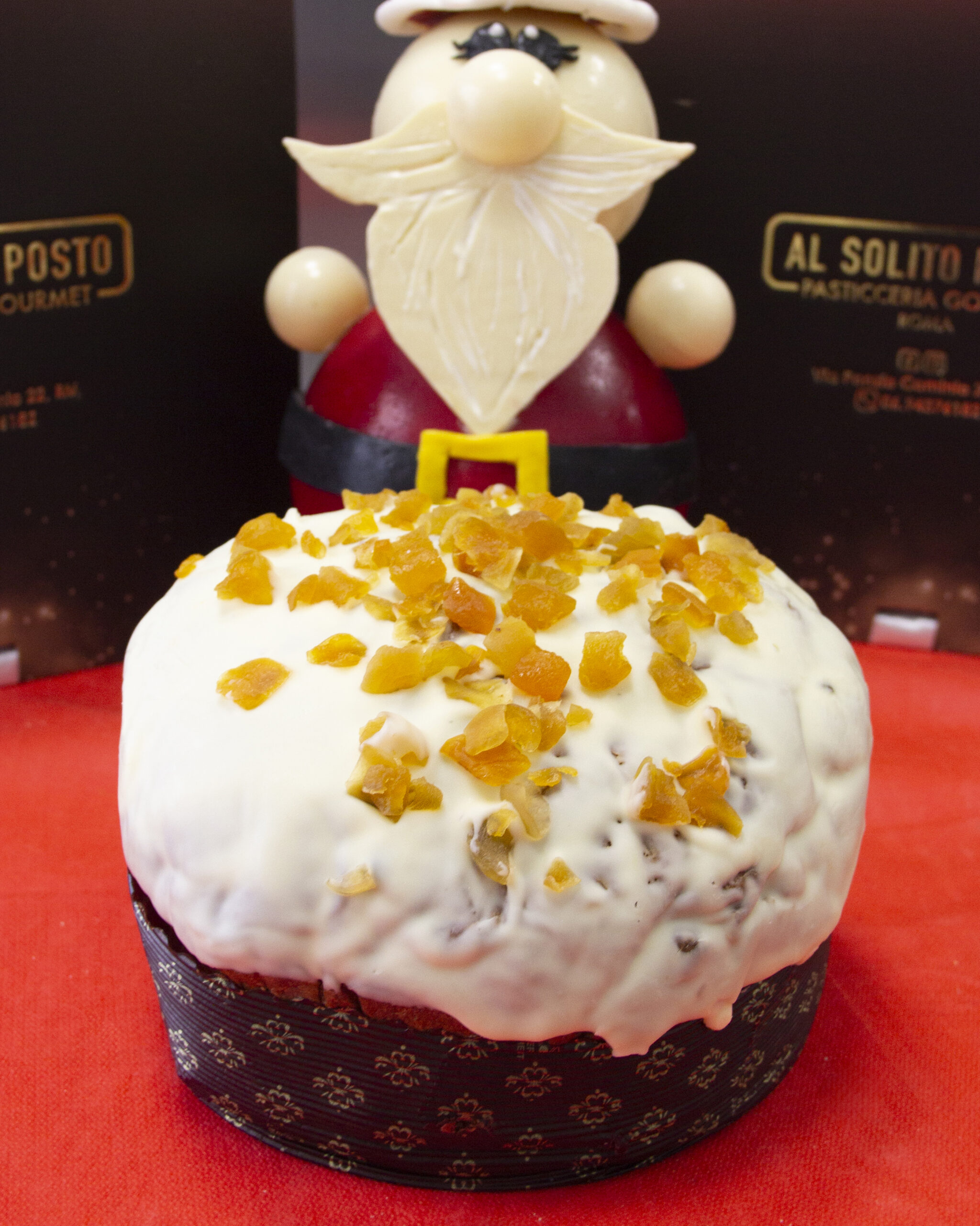 Panettone Cioccolato Bianco e albicocca copia