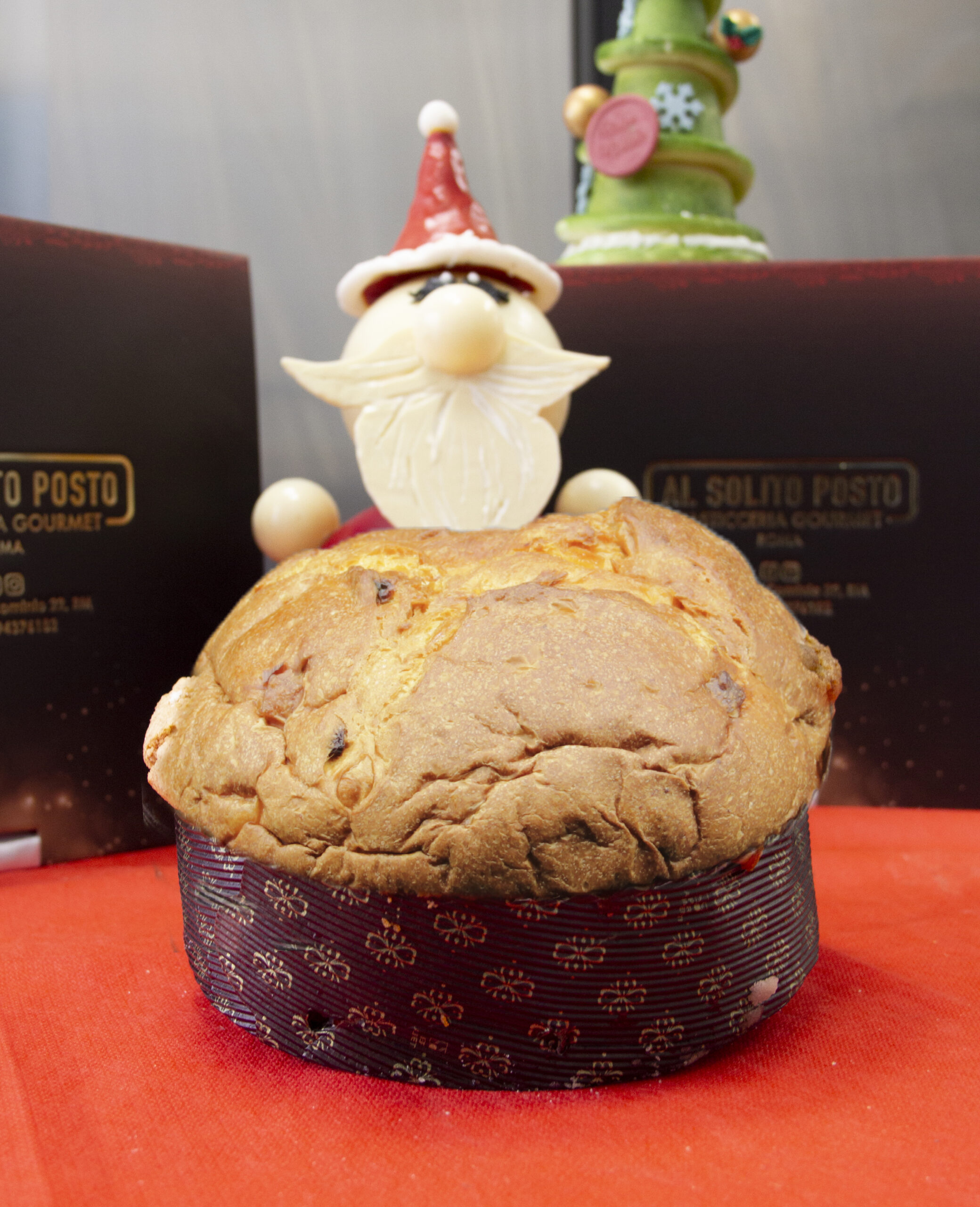 Panettone FRUTTI DI BOSCO